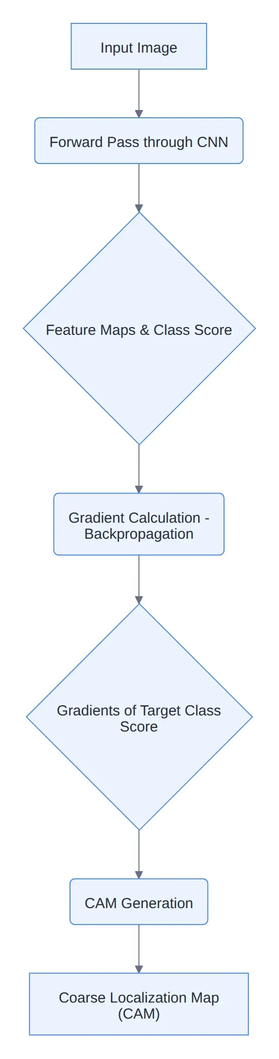 Diagram: Input Image, Forward Pass through CNN, Feature Maps & Class Score, Gradient Calculation - Backpropagation