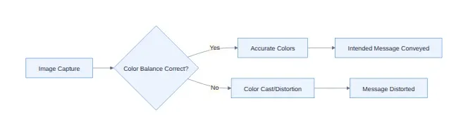 Diagram: Image Capture, Color Balance Correct?, Accurate Colors, Color Cast/Distortion