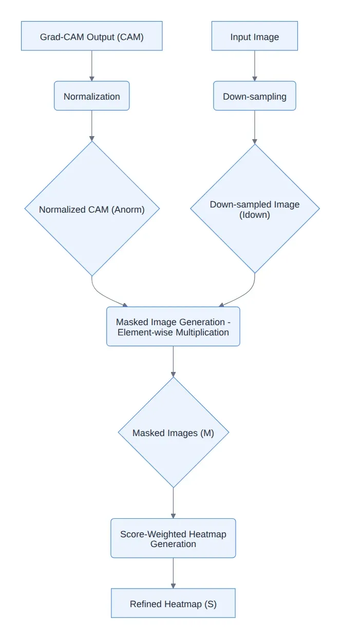 Diagram: Grad-CAM Output (CAM, Normalization, Normalized CAM (Anorm, Input Image